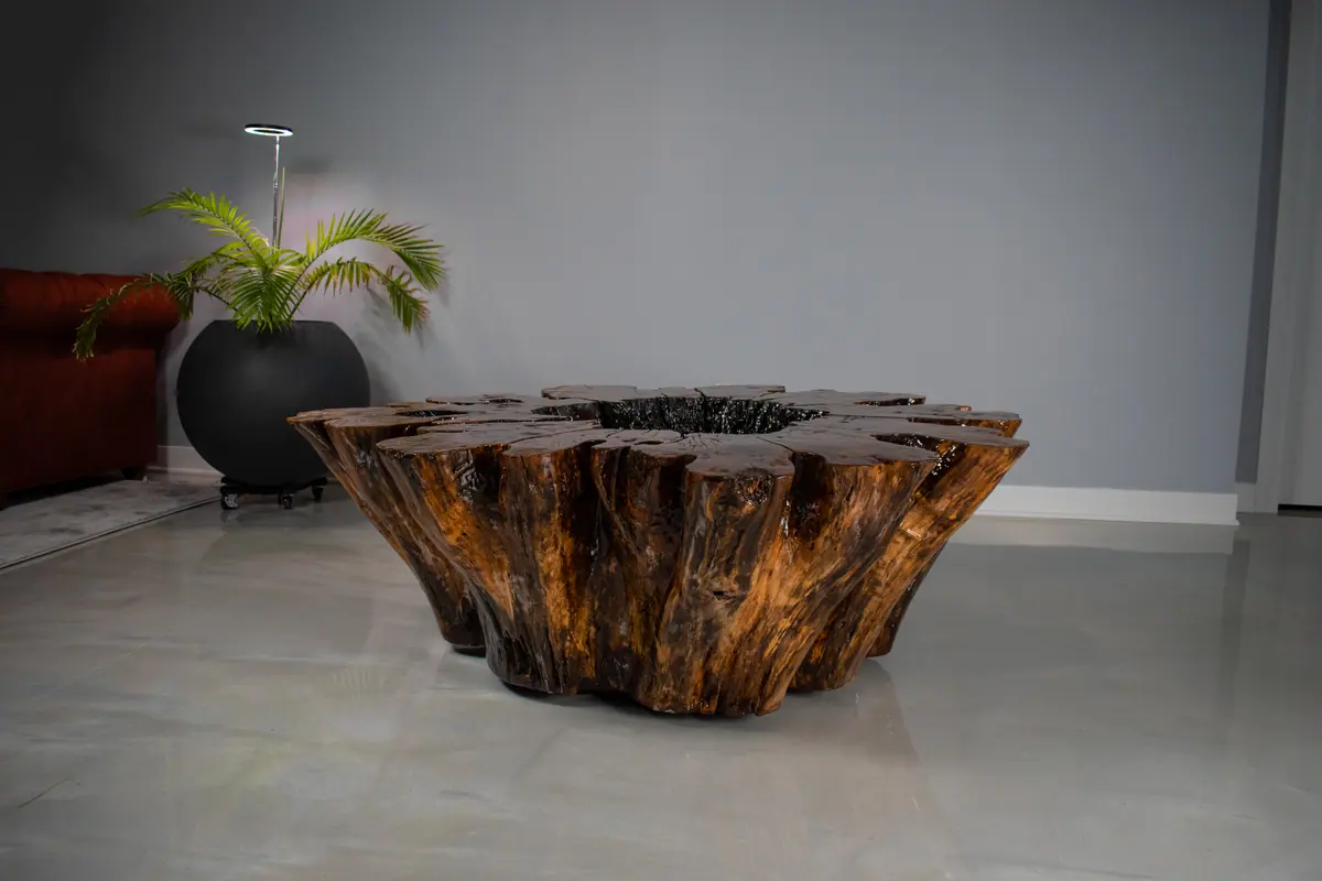 Hollow Stump Table, view 3