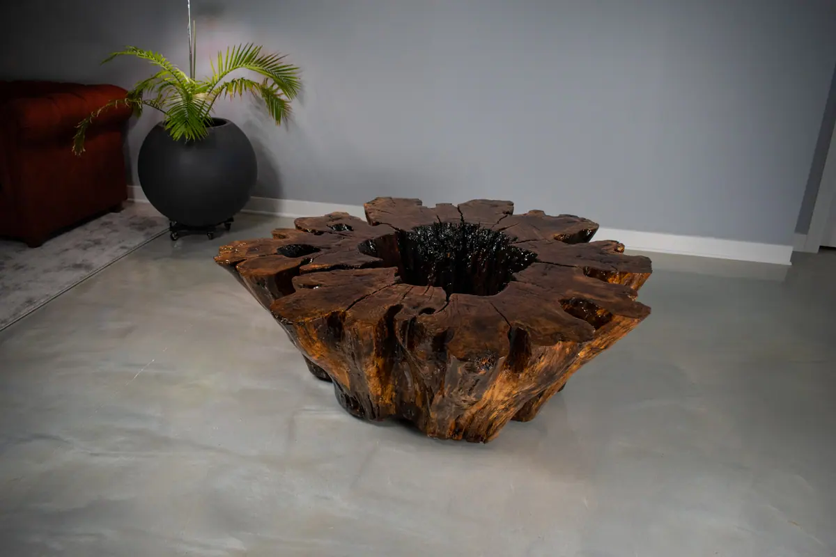 Hollow Stump Table, view 4