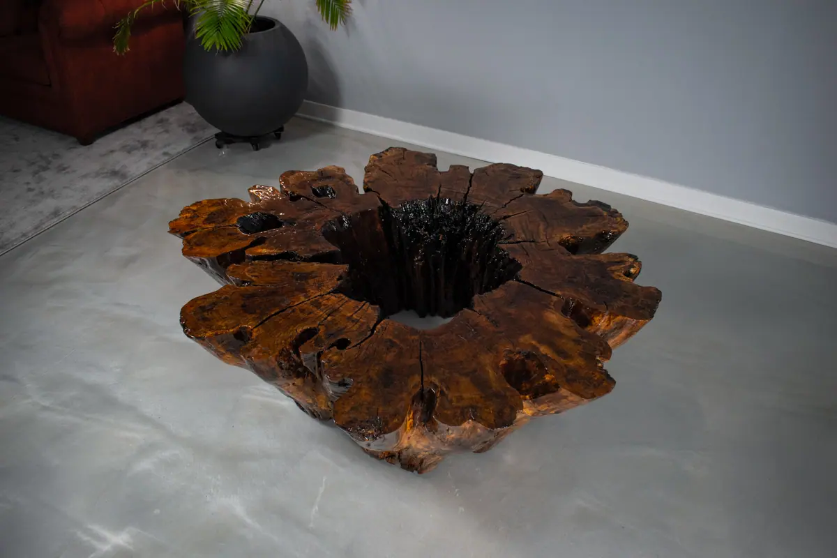 Hollow Stump Table, view 5