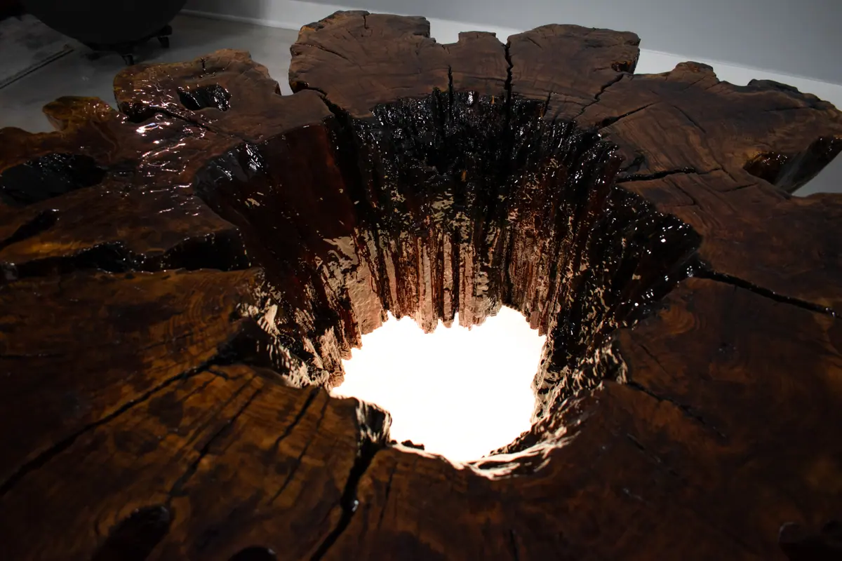 Hollow Stump Table, view 2