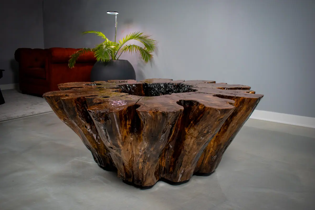 Hollow Stump Table, view 7